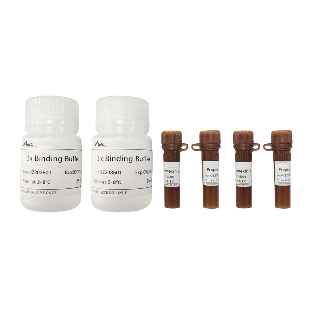 Annexin V-FITC/PI Cell Apoptosis Detection Kit 100T （ABC1529）