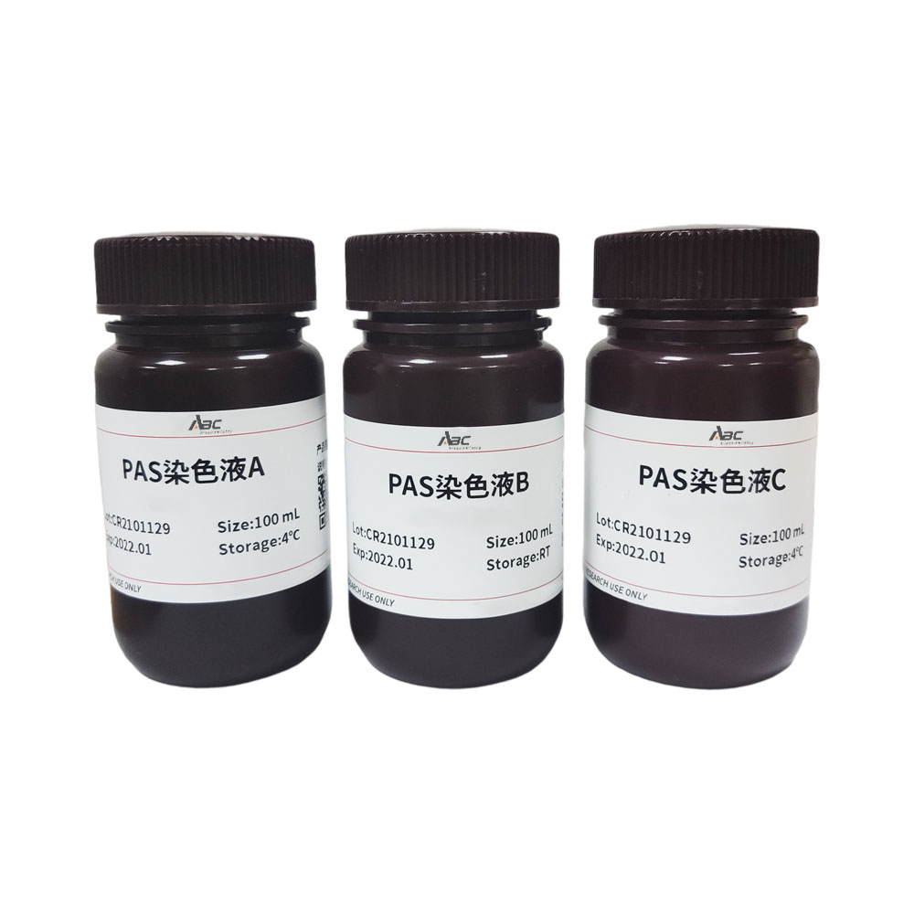 PAS染液 100ML*3 （ABC1026）