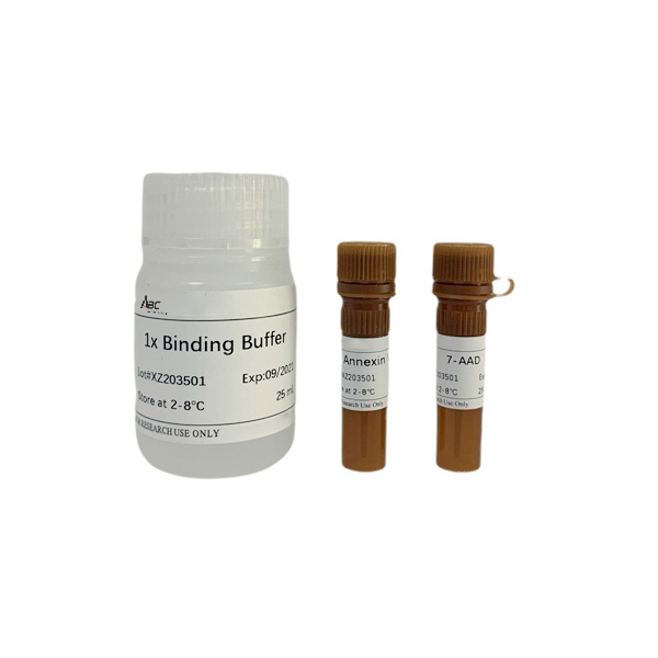 Annexin V-PE/7-AAD Cell Apoptosis Detection Kit 50T （ABC1530）