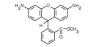 Dihydrorhodamine 123（线粒体，二氢罗丹明 123）ABC347