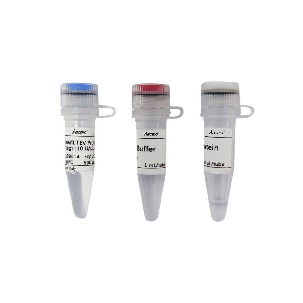 Recombinant TEV Protease (His-tag) （ABC3427）