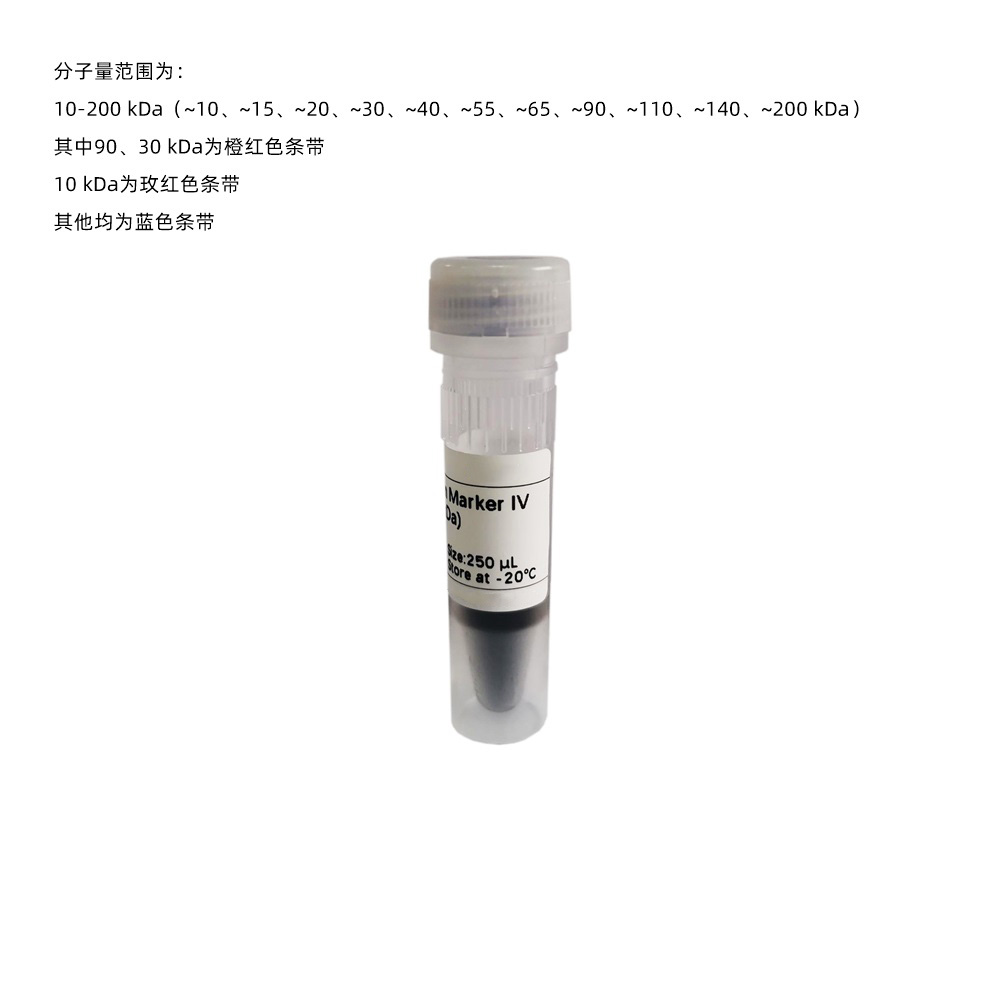 Prestained Protein Marker Ⅳ (10-200 kDa) ABC2101