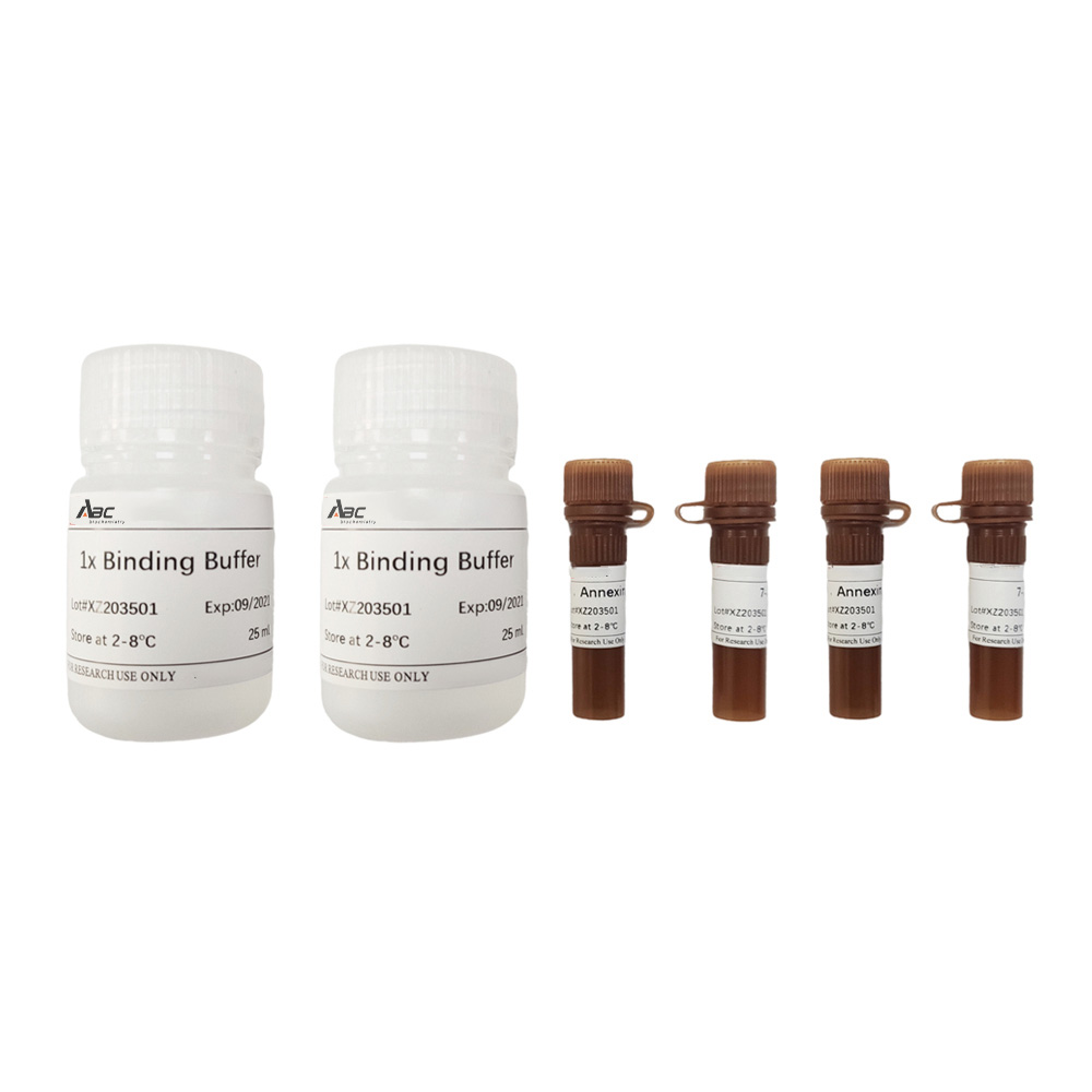 Annexin V-PE/7-AAD Cell Apoptosis Detection Kit 100T （ABC1530）